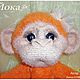Йока - рыжая проказница