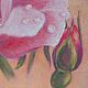  ' Pink Rose' pastel painting. Pictures. flamemilady. My Livemaster. Фото №5