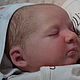  Realborn Carol. Куклы Reborn. 'куклы реборн '. Ярмарка Мастеров.  Фото №6