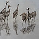 Drawing Cranes. Pictures. tinaryART (tinaryART). Online shopping on My Livemaster.  Фото №2