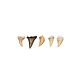 Fossilized shark tooth (2nd grade) 17-27 mm. Figurines in Russian style. merlin-hat (Merlin-hat). Online shopping on My Livemaster.  Фото №2