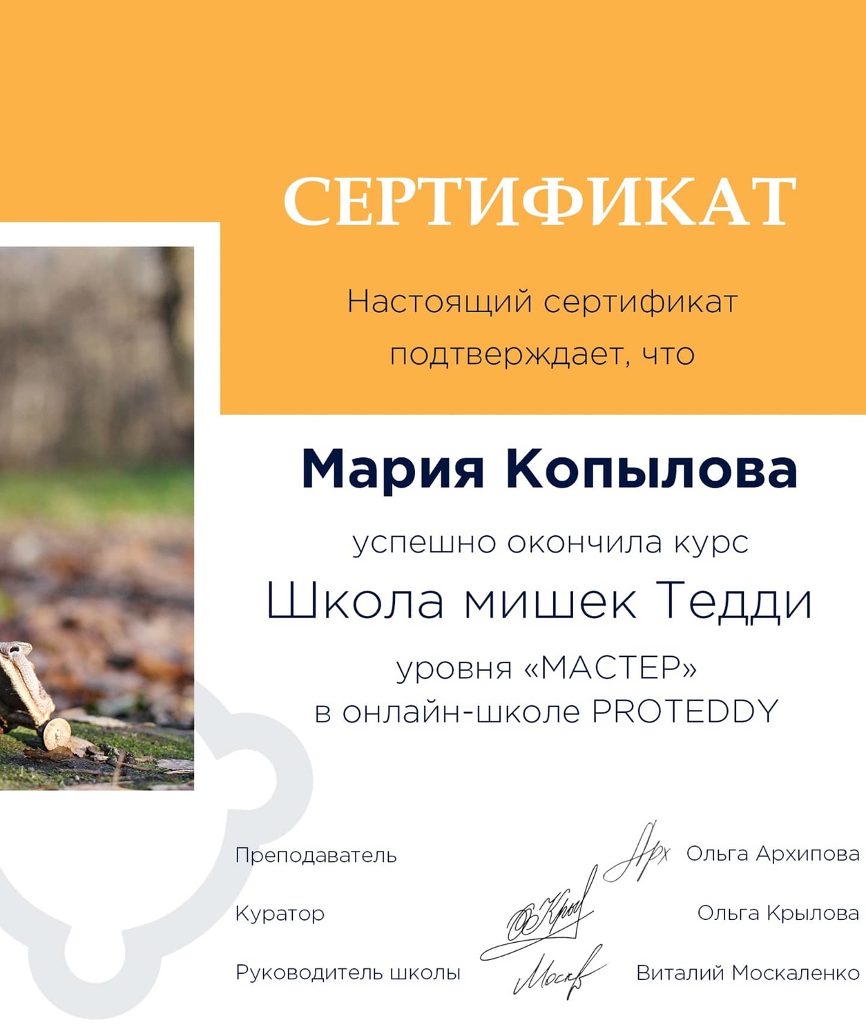 Мой профиль