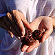 Hydrophilic plitochki Chocolate. Massage tiles. ecoshop (ecoshop). Online shopping on My Livemaster.  Фото №2