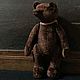   Потап. Мишки Тедди. Ручные мишки Тедди (tamedteddybears). Ярмарка Мастеров.  Фото №10