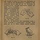 Самоучитель шитья обуви, книга 1918 года. Схемы для шитья. EcoLife_23. Ярмарка Мастеров.  Фото №5