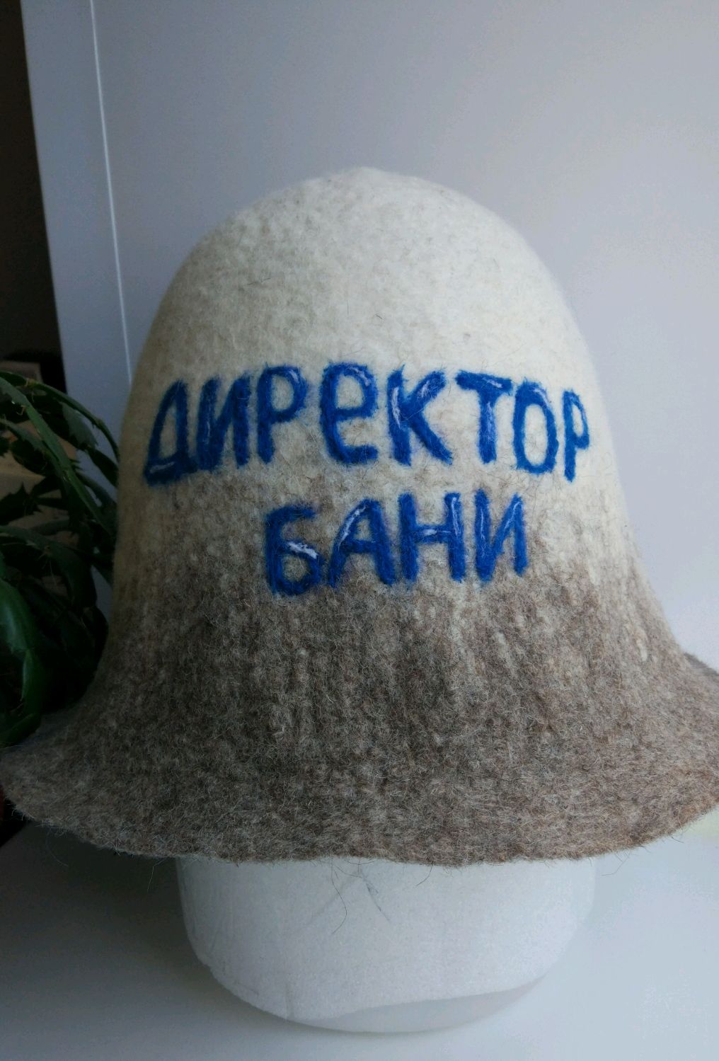 Шапка директору