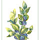 Заказать Набор ботаника состоит из 3х открыток. Agnessa art butique. Ярмарка Мастеров. . Открытки Фото №3
