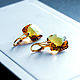 Earrings with ametrine in 24K gold. Earrings. Solanda. Online shopping on My Livemaster.  Фото №2