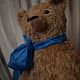 Мишка Кир. Мишки Тедди. Елена Перминова (elenaperminovabears). Ярмарка Мастеров.  Фото №6