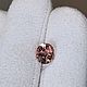 Турмалин в огранке овал 1,61 ct, Минералы, Москва,  Фото №1
