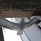 Дизайн: птица машущая крыльями в витрине, Создание дизайна, Москва,  Фото №1