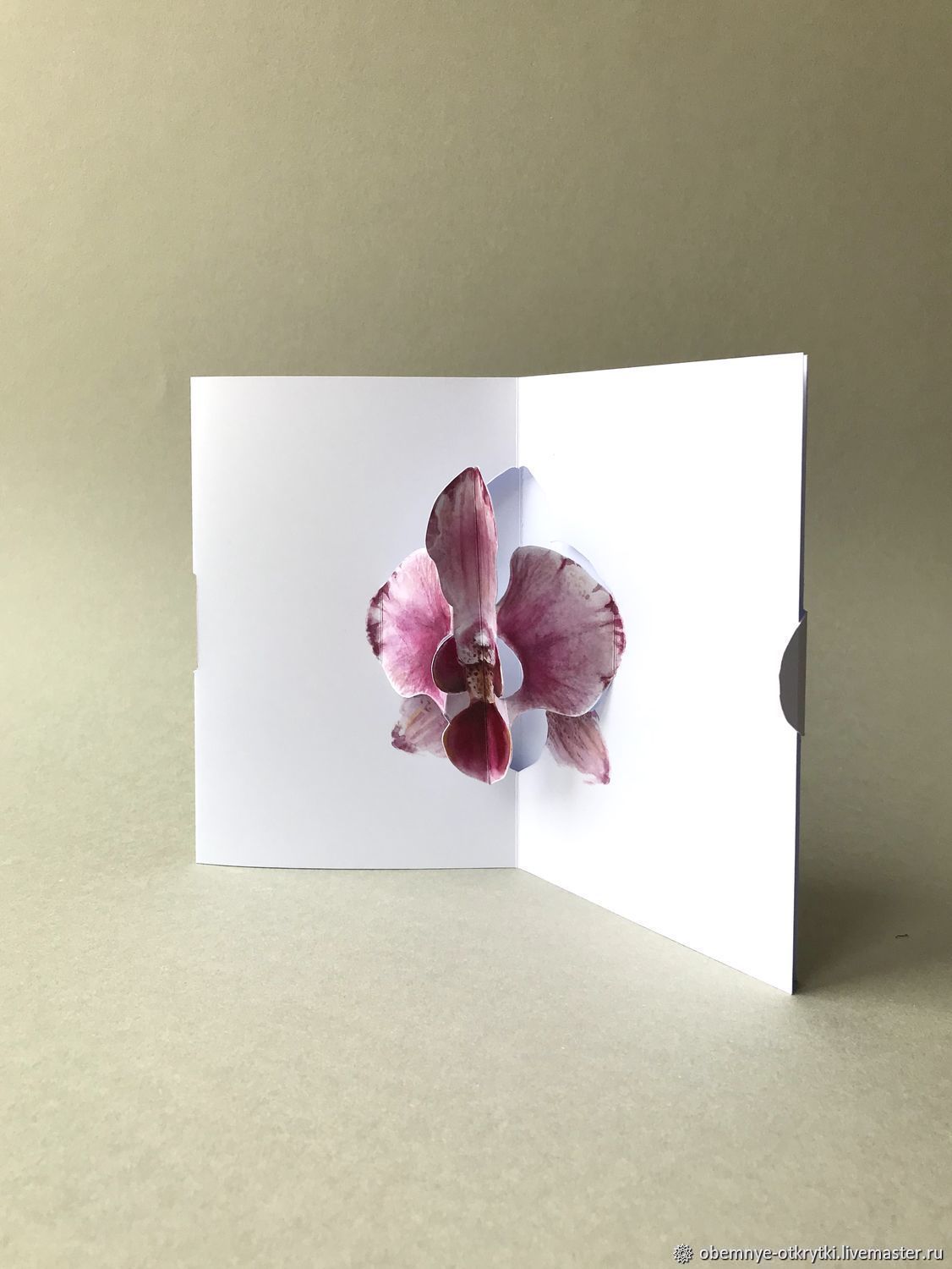 Открытка цветок "Орхидея" на 14 февраля и 8 марта, Открытки, Санкт-Петербург,  Фото №1