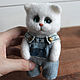 felt toy: Cat in overalls, Felted Toy, Moscow,  Фото №1
