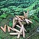 Заказать Курипе из цельного дерева. Чемара (Балийский кипарис). Shamanic-staff. Ярмарка Мастеров. . Трубка для рапэ Фото №3