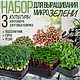 Набор для выращивания микрозелени, Подарочные боксы, Челябинск,  Фото №1