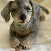 Куклы и игрушки ручной работы. Ярмарка Мастеров - ручная работа Soft toys: the dachshund is gray. Handmade.