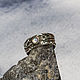 Men's ring with labradorite 'Cedar'. Rings. Unusual Gemstone Jewelry. My Livemaster. Фото №5