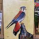 Oil painting 30*40 cm. Falco.  Falcon, Pictures, Moscow,  Фото №1