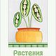 Артбук "Растения. Цифровой рисунок.", Иллюстрации и рисунки, Тобольск,  Фото №1