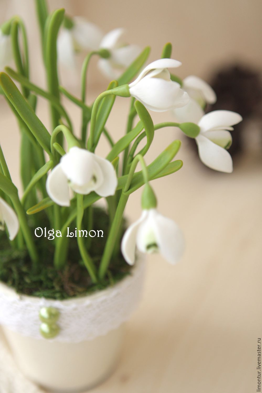 �������� � ������� ���� ���������