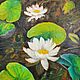 Painting water lilies in a summer pond painting water lilies green oil, Pictures, St. Petersburg,  Фото №1