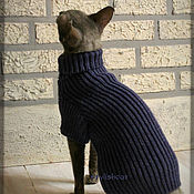 Зоотовары handmade. Livemaster - original item Clothing for cats and cats. Handmade.