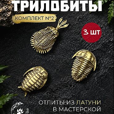 Украшения ручной работы. Ярмарка Мастеров - ручная работа Комплект значков Трилобиты 3 ШТ, набор #2. Handmade.