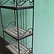 The shelves are wrought iron with mosaic shelves, 'the Goddess dike', Shelving, Moscow,  Фото №1