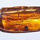 Recuerdo coleccionable ámbar piedra con 6 insectos. Stones. podaro4ek22. Online shopping on My Livemaster.  Фото №2