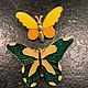 Brooches 'Bright butterflies', 2 PCs., Holland, Vintage brooches, Arnhem,  Фото №1