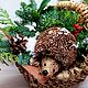 Лукошко с Ёжиком, живой хвоей, ягодами. шишками.Авторская работа. Новогодние композиции. DARK FLORIST Флористика Декор ЦВЕТЫ. Интернет-магазин Ярмарка Мастеров.  Фото №2
