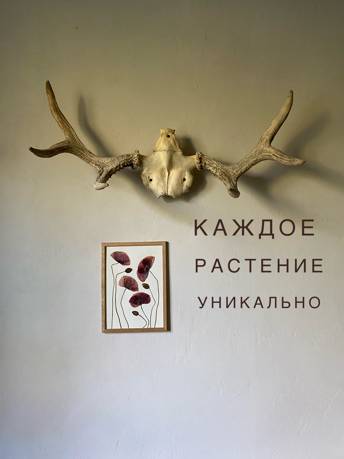 Как и одинаковых растений в природе 
