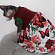 Clothing for cats 'Dress garden', Pet clothes, Biisk,  Фото №1