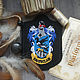 Stripe Ravenclaw, Applications, Moscow,  Фото №1