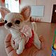 Миниатюрная  игрушка щенок Чихуахуа Дороти 9 см. Тедди Зверята. Любимые лапки. Ярмарка Мастеров.  Фото №5