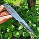 Throwing knife 'Landing' Zlatoust. Knives. wow-zlat-gifts (wow-zlat-gifts). My Livemaster. Фото №4