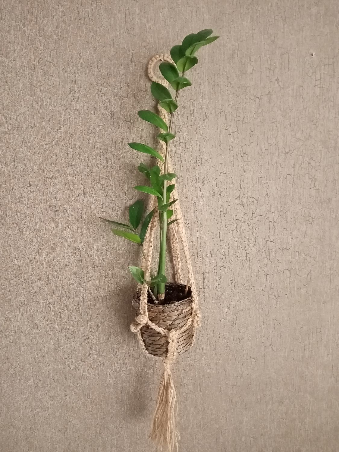 Кашпо для цветов в интернет-магазине Ярмарка Мастеров по цене 830 ...