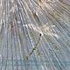 Интерьерная картина в голубых тонах Одуванчик. Картины. Елена Ашихмина Интерьерные картины. Интернет-магазин Ярмарка Мастеров.  Фото №2