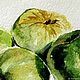Заказать Зеленые яблоки. Vera Zhem ART (Вера Жем). Ярмарка Мастеров. . Картины Фото №3