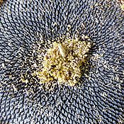 Картины и панно ручной работы. Ярмарка Мастеров - ручная работа "Вселенная". Фотография.. Handmade.