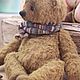 Заказать ГорчиШник (Mustard bear). Masha & Medvedi. Ярмарка Мастеров. . Мягкие игрушки Фото №3