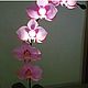 Lamp -Orchid, Ceiling and pendant lights, Rostov-on-Don,  Фото №1