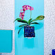 Кашпо (горшок) для орхидеи настенное прозрачное стеклянное, Кашпо, Москва,  Фото №1