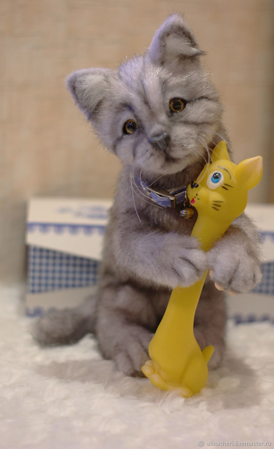 Кот сильвер