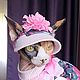 Cat clothes 'Hat for the Sphinx', Pet clothes, Biisk,  Фото №1