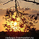 Фотокартина "День Земли. Рассвет.", Фотокартины, Москва,  Фото №1