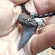 Order Pendant with a fossilized shark tooth. Elena Shevchenko  jeweller (odoli). Livemaster. . Pendant Фото №3