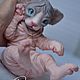 Силиконовый котёнок. Куклы Reborn. Татьяна Латашевская. Ярмарка Мастеров.  Фото №4