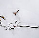 Теплые коты. Картины. Ekaterina Istomina. Ярмарка Мастеров.  Фото №4