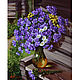 Oil painting 'Cornflowers', Pictures, Belorechensk,  Фото №1